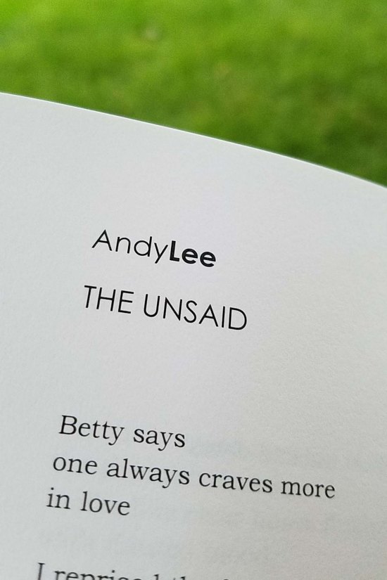 "The Unsaid" by Andy Lee