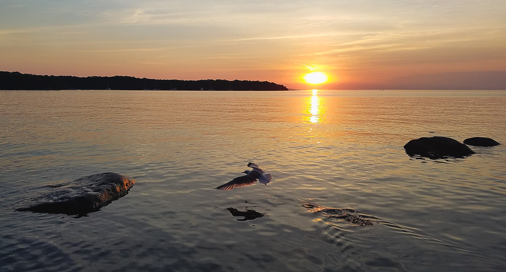 Sunset at Awenda Provincial Park © Andy Lee