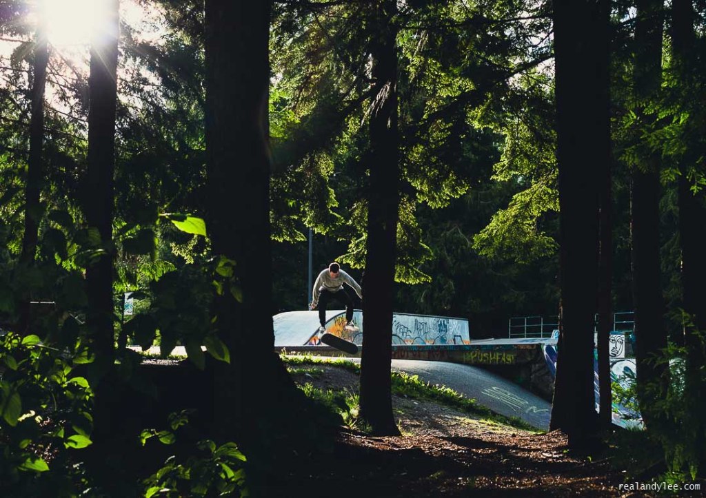 Man skateboarding in forested skatepark