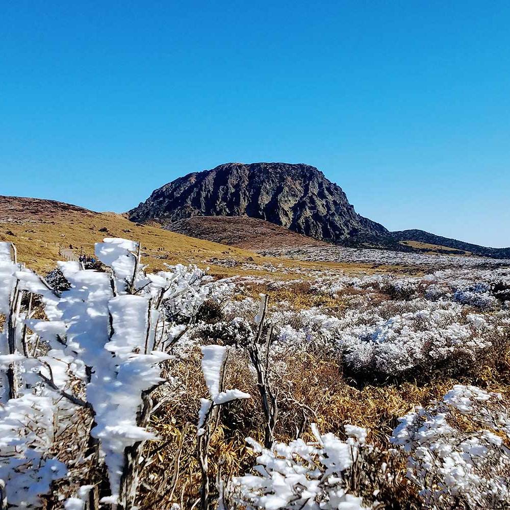 Hallasan crater in winter with snow-covered branches